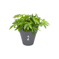 loft urban rond wielen 50cm antraciet